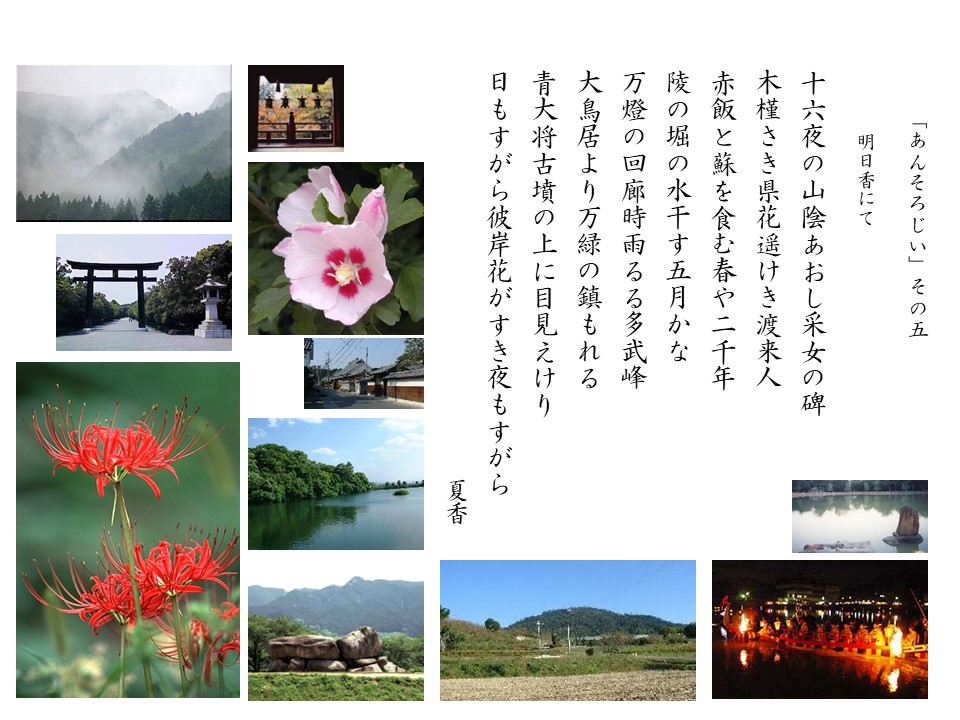 あんそろじぃ５