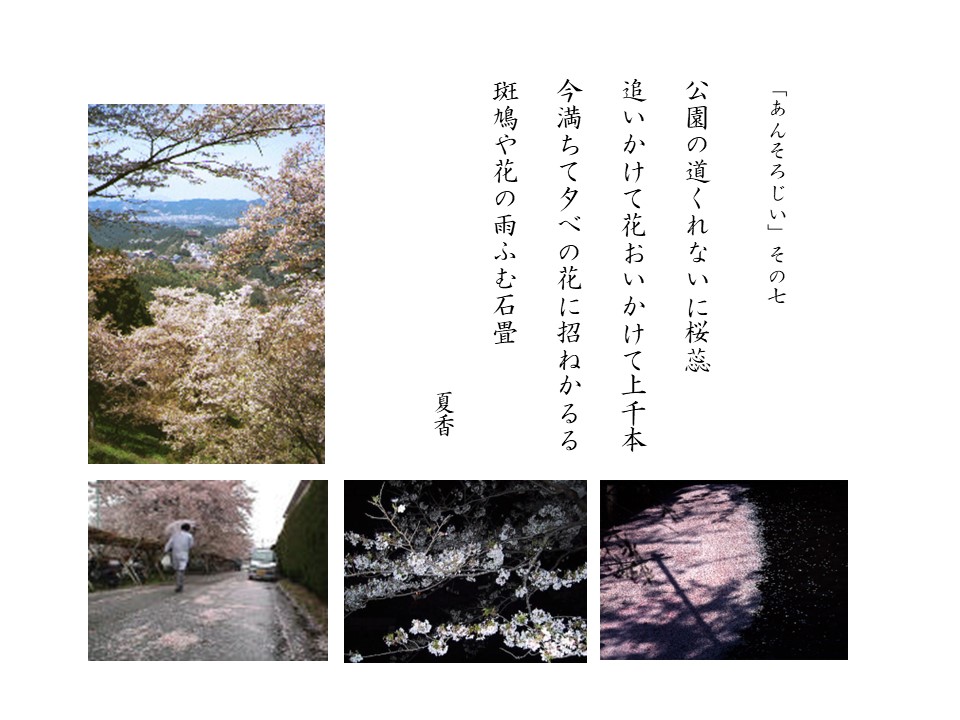 あんそろじぃ７