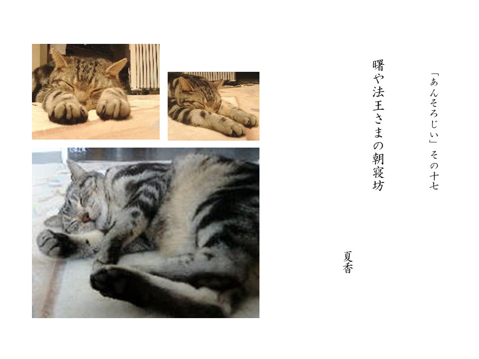 あんそろじぃ１７