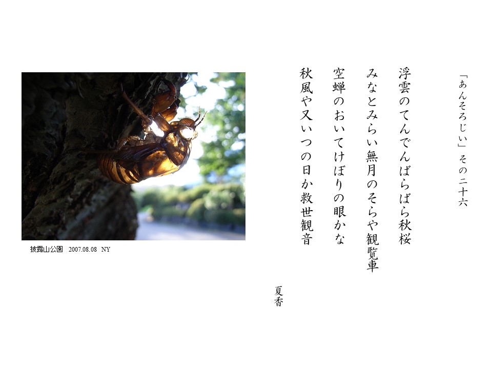 あんそろじぃ２６