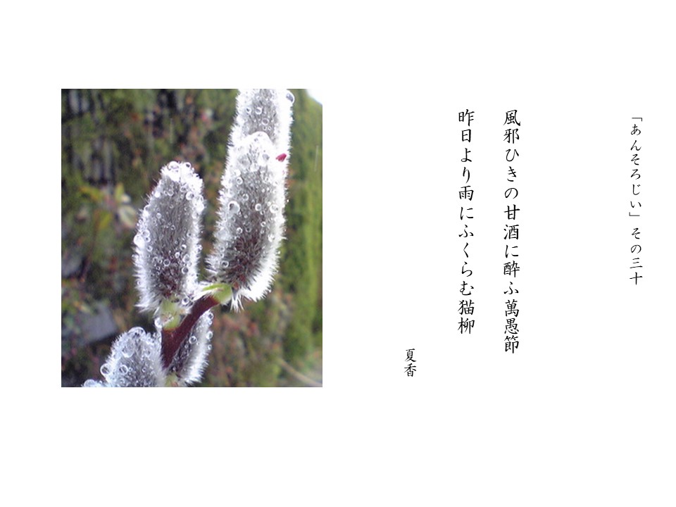 あんそろじぃ３０