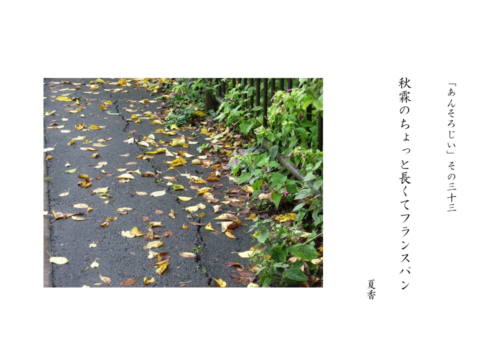 あんそろじぃ３３