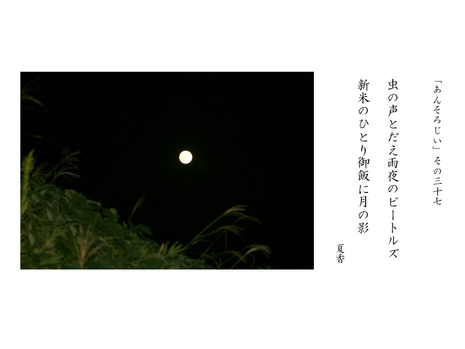 あんそろじぃ３７