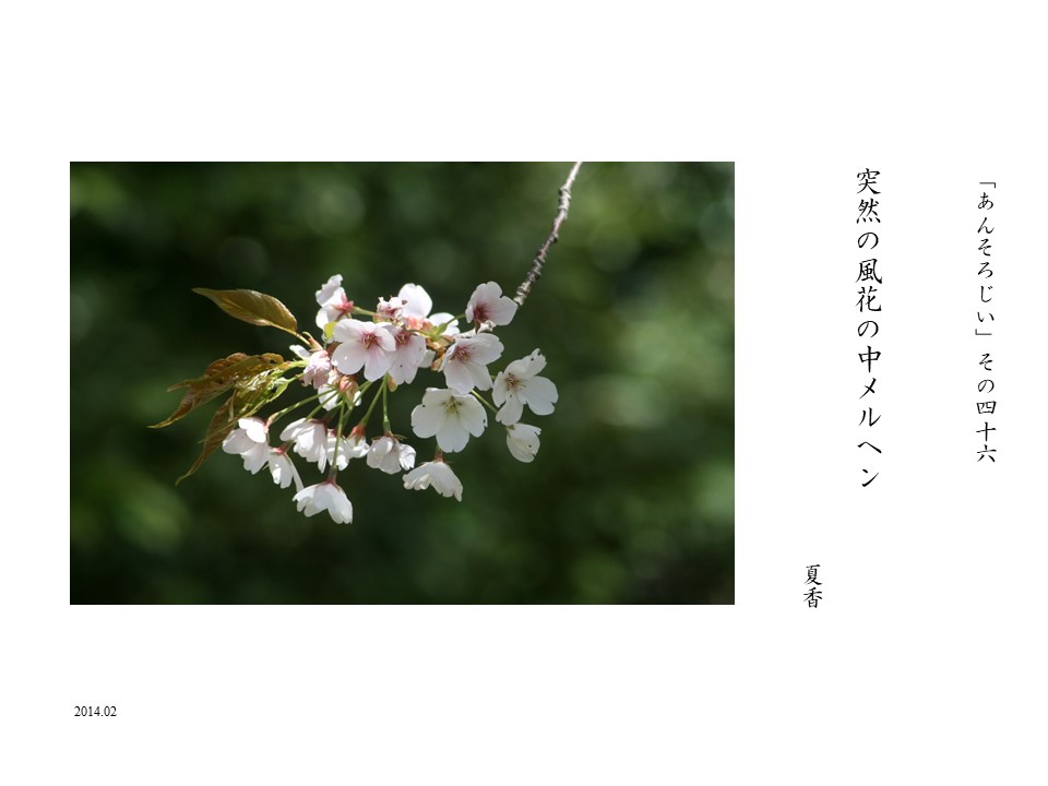 あんそろじぃ４６